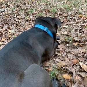 Meet your Posher, William